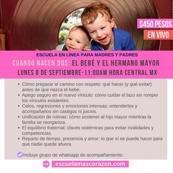 Cuando nacen dos: el bebé y el hermano mayor - Imagen 3