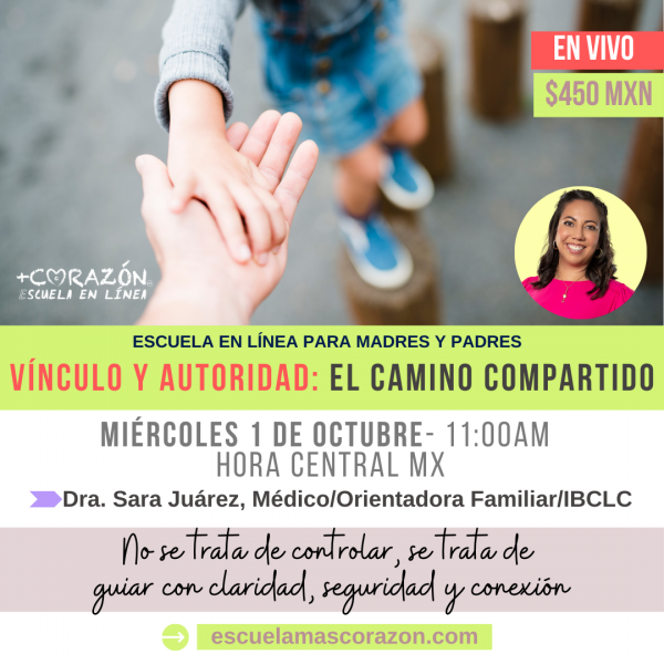 Vinculo y autoridad: El camino compartido - Imagen 1